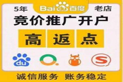 竞价托管服务对比：不同平台的优劣分析